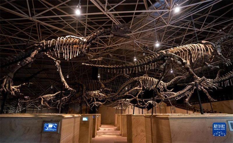 Yunnan: trabalho de escava??o de 9 novos sítios de fósseis de dinossauros é iniciado