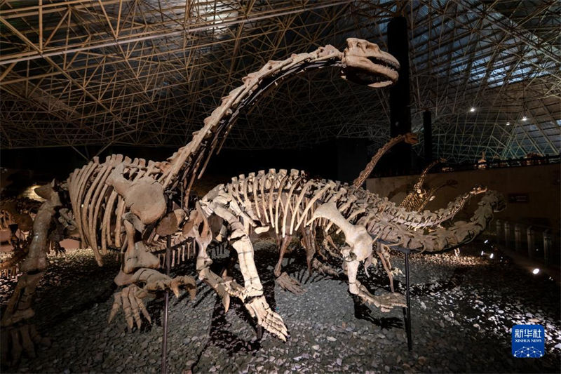 Yunnan: trabalho de escava??o de 9 novos sítios de fósseis de dinossauros é iniciado