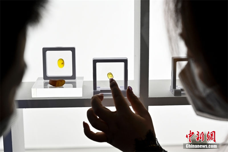 Museu de Guangzhou exibe mais de 700 pe?as de ambar