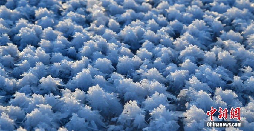Galeria: paisagem no rio Songhua decorada com flores congeladas