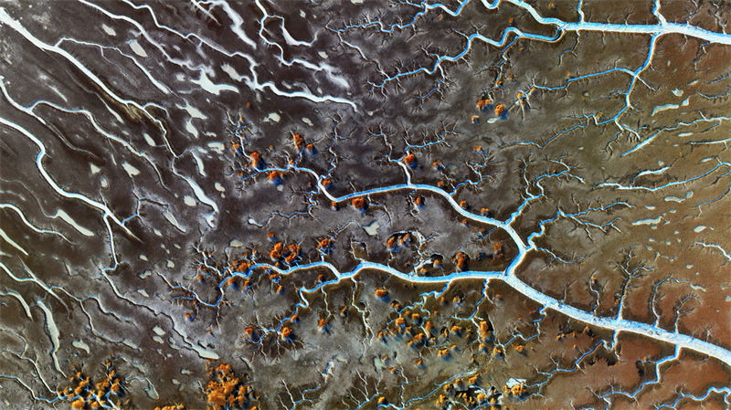 Galeria: vista do pantano do estuário do rio Liaohe 