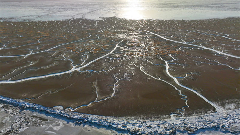 Galeria: vista do pantano do estuário do rio Liaohe 