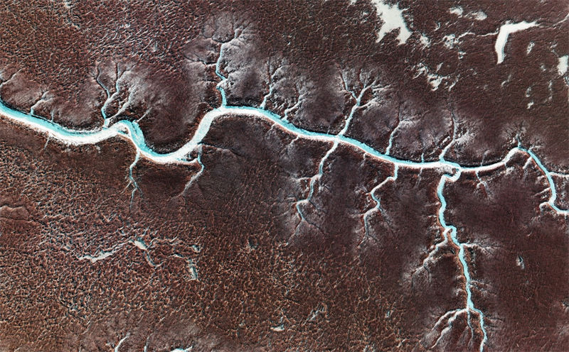 Galeria: vista do pantano do estuário do rio Liaohe 