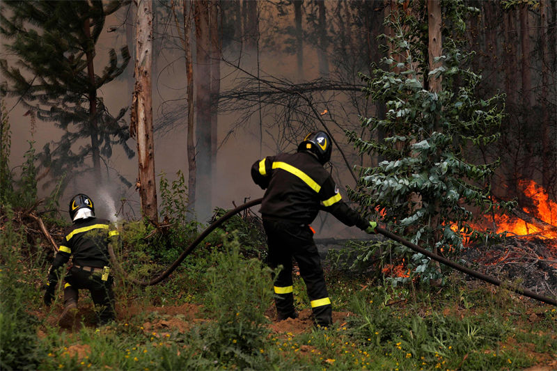 Chile: incêndios florestais deixam milhares desabrigados
