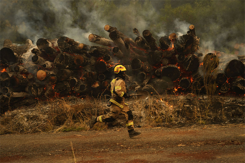 Chile: incêndios florestais deixam milhares desabrigados