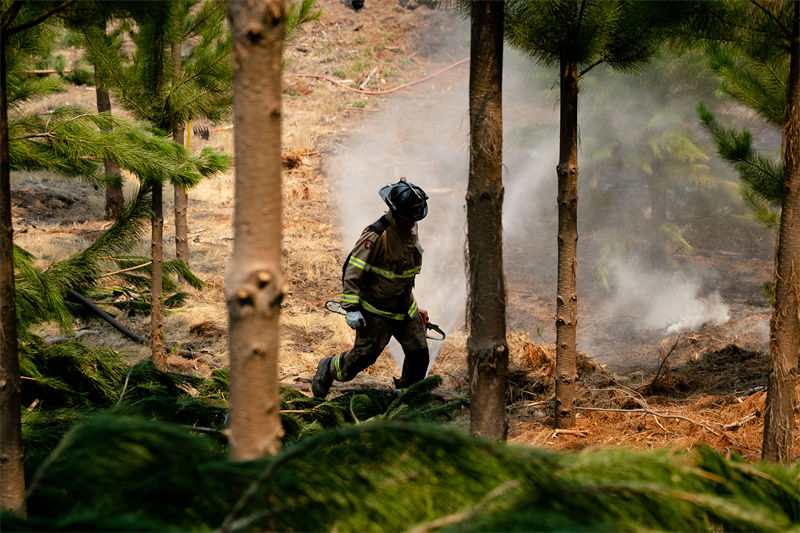 Chile: incêndios florestais deixam milhares desabrigados