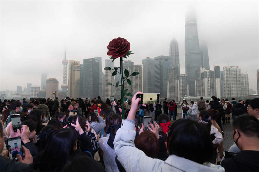 Escultura gigante de rosa instalada em Shanghai atrai cidad?os