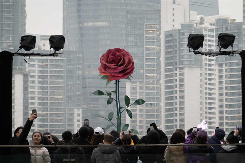 Escultura gigante de rosa instalada em Shanghai atrai cidad?os
