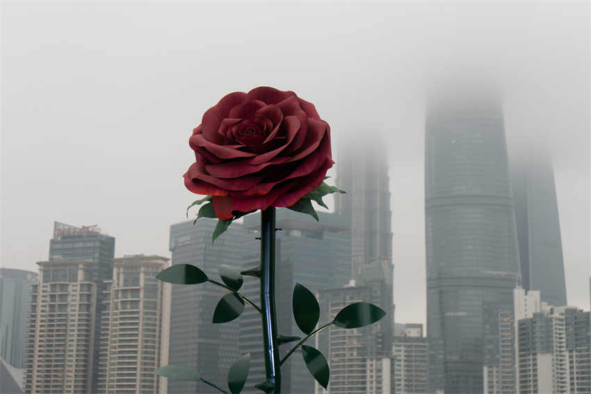 Escultura gigante de rosa instalada em Shanghai atrai cidad?os
