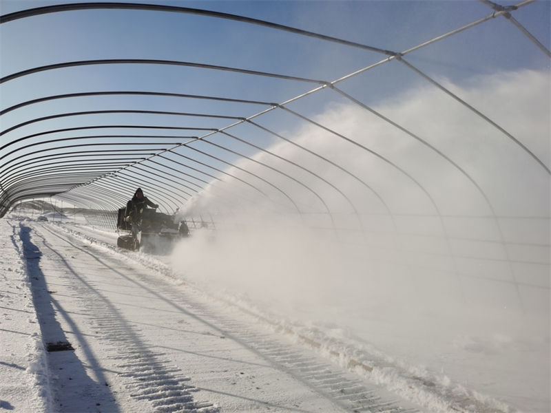 Agricultores est?o ocupados preparando lavra de primavera no nordeste da China