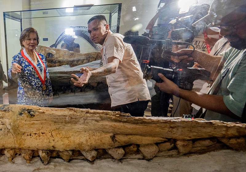 Peru exibe fósseis de cachalotes pré-históricos preservados há 7 milh?es de anos