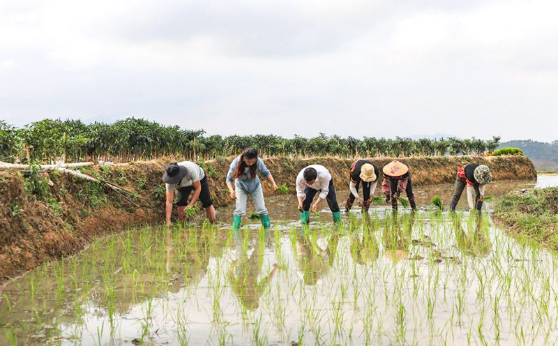 Hainan: terra?os vibrantes com chegada da primavera