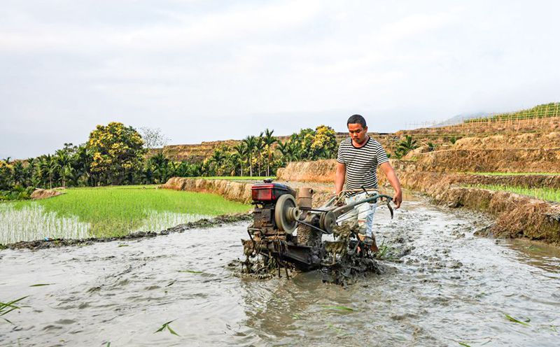 Hainan: terra?os vibrantes com chegada da primavera