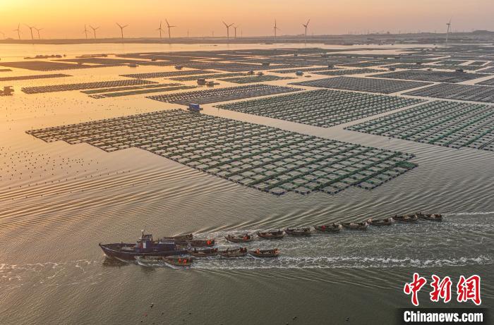Pescadores est?o ocupados no leste da China