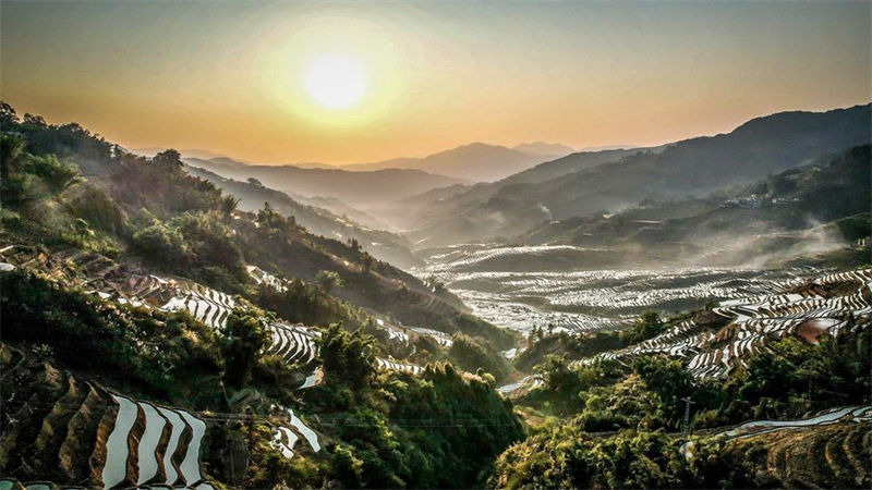 Lavra de primavera inicia no sudoeste da China