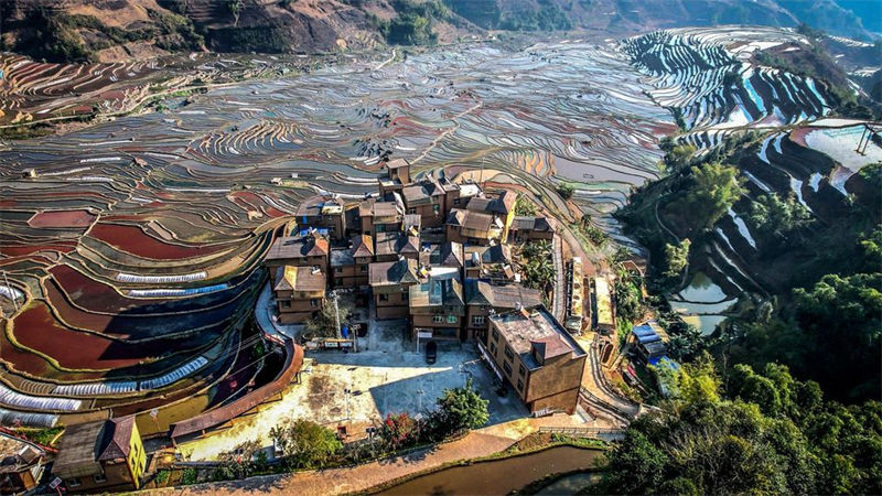 Lavra de primavera inicia no sudoeste da China