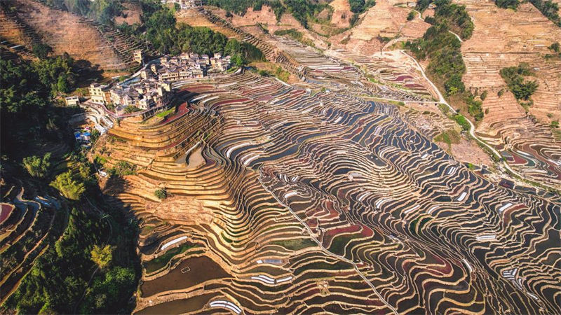 Lavra de primavera inicia no sudoeste da China
