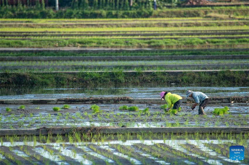 Agricultura da primavera avan?a em toda a China