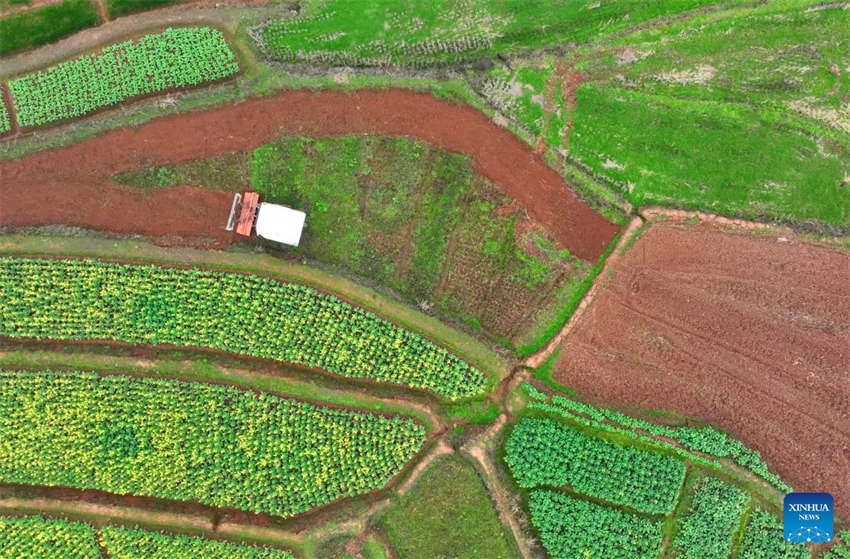 Agricultura da primavera avan?a em toda a China