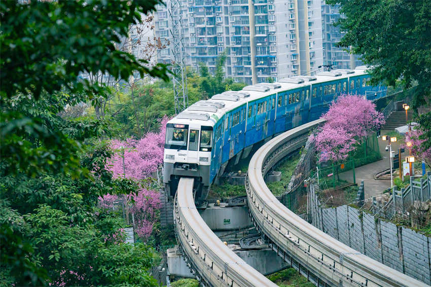 Monotrilho passa por flores desabrochando no metr? de Chongqing