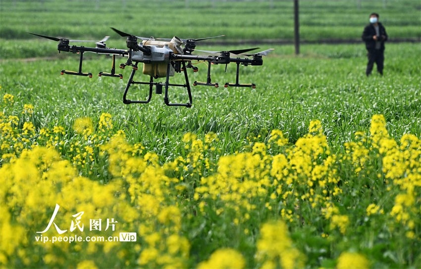 Galeria: lavra de primavera é iniciada na China