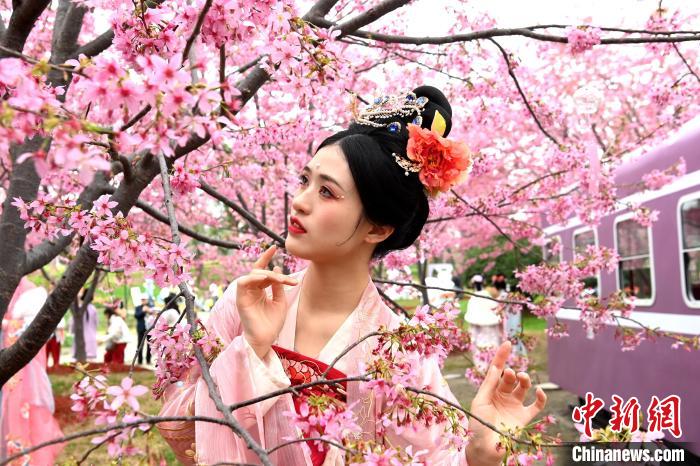 2o Festival de Hanfu é realizado no sudoeste da China