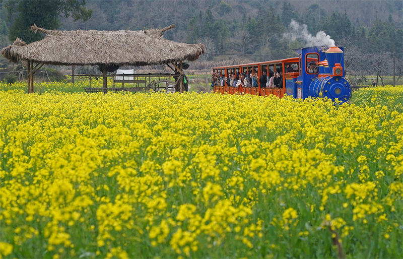 Galeria: primavera chega ao leste da China