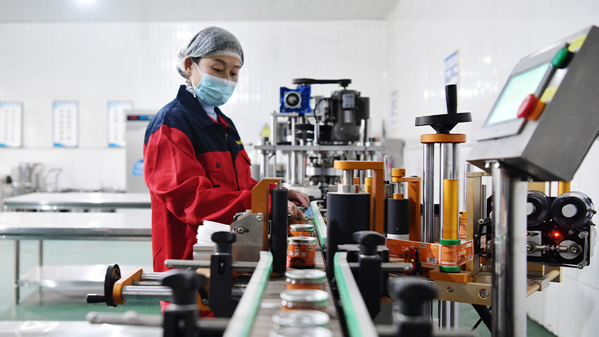 Cultivo de pimenta proporciona revitaliza??o rural no norte da China