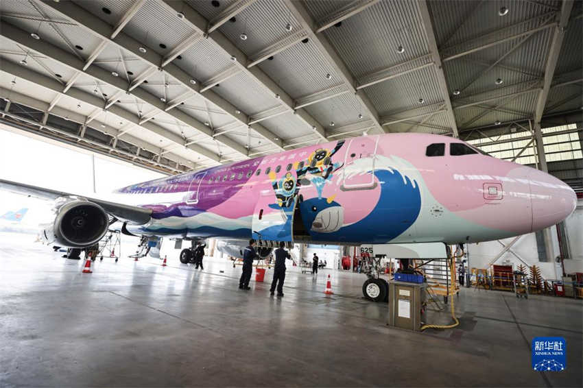 Avi?o com temática da Exposi??o Internacional de Produtos de Consumo da China recebe inspe??o