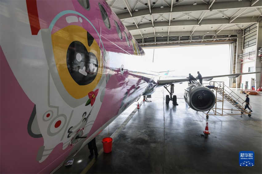 Avi?o com temática da Exposi??o Internacional de Produtos de Consumo da China recebe inspe??o
