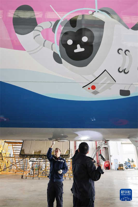 Avi?o com temática da Exposi??o Internacional de Produtos de Consumo da China recebe inspe??o