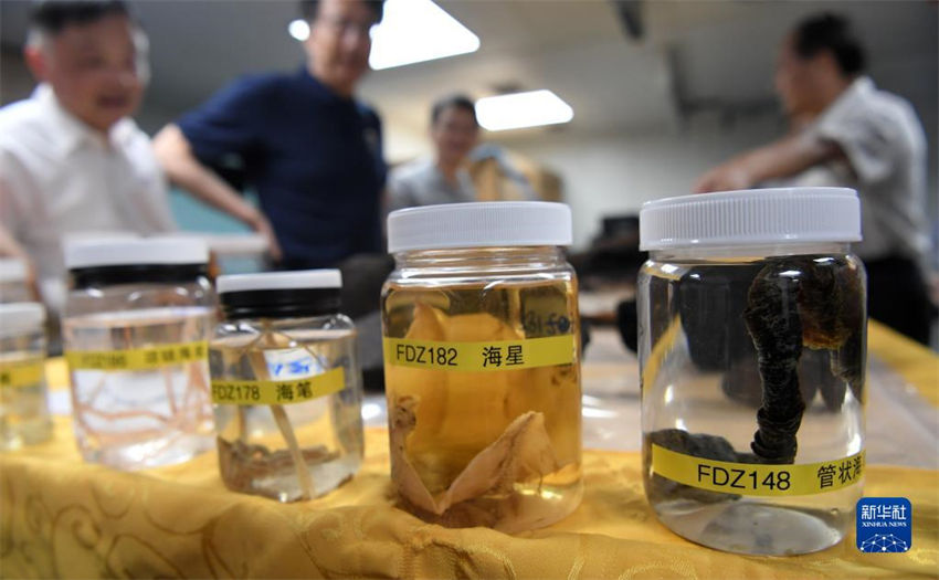 Navio de pesquisa chinês conclui miss?o de pesquisa em águas profundas em águas próximas à Oceania