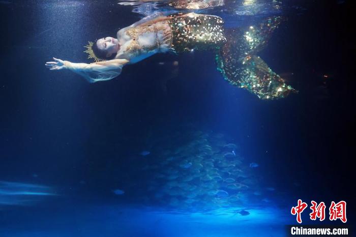 Mundo Subaquático de Nanjing realiza show de sereia subaquática