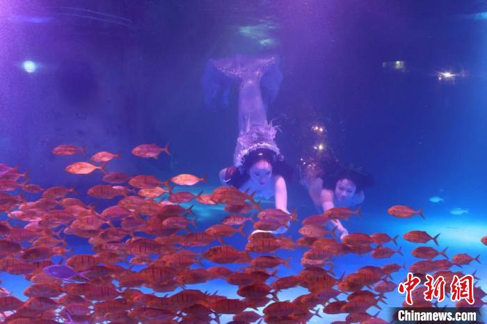 Mundo Subaquático de Nanjing realiza show de sereia subaquática