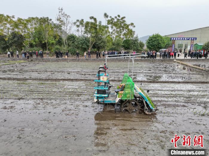 Lavoura da primavera decorre no sul da China