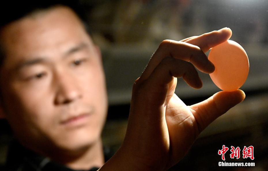 Cria??o inteligente de galinhas ajuda criadores a aumentar renda no norte da China