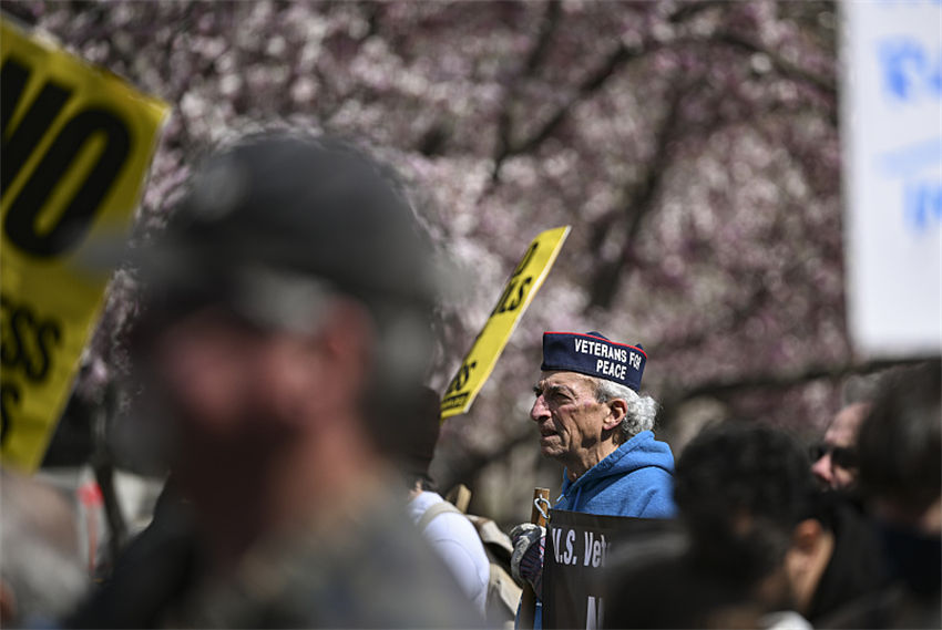 Galeria: manifesta??o antiguerra em Washington