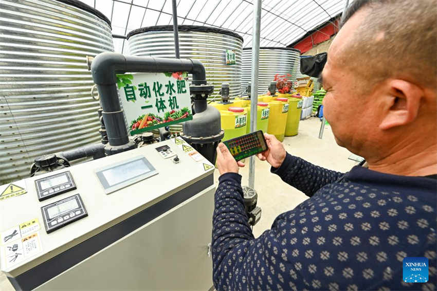 Xinjiang desenvolve agricultura moderna