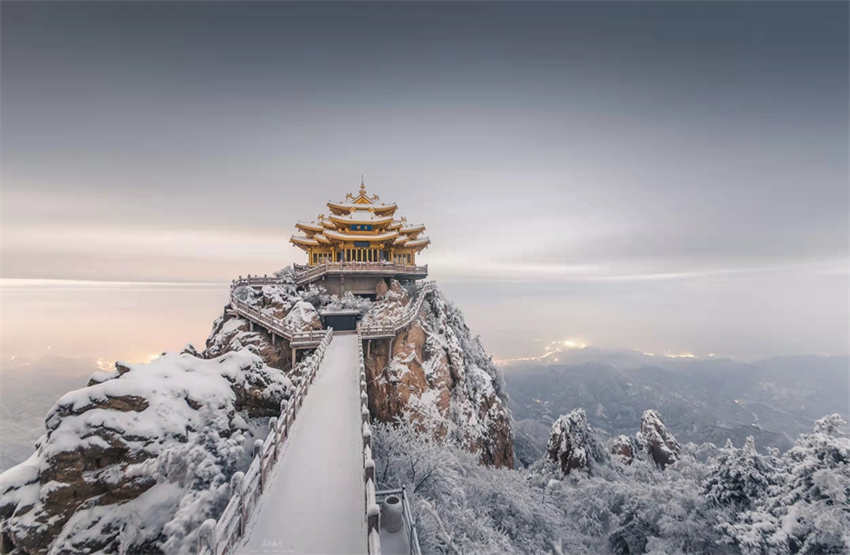 40o Festival Cultural de Peóneas de Luoyang arranca em 1o de abril