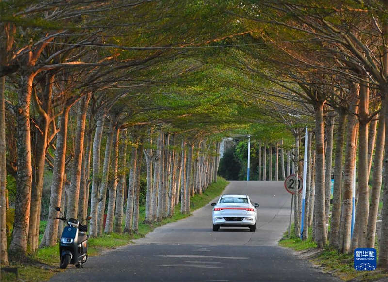 Galeria: Grandes mudan?as de vilas antigas em Hainan