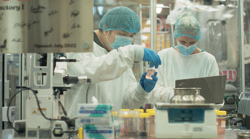 Museu de ciência da Holanda exibe alm?ndega de carne produzida a partir do DNA de um mamute