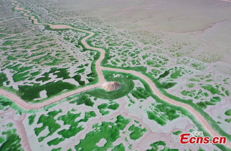 Lago Esmeralda chama aten??o na Bacia de Qaidam em Qinghai