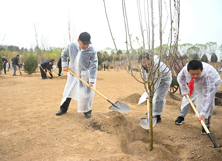 Xi Jinping planta árvores em Beijing, pedindo mais esfor?os de reflorestamento para desenvolvimento verde e constru??o da bela China