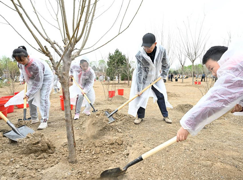 Xi Jinping planta árvores em Beijing, pedindo mais esfor?os de reflorestamento para desenvolvimento verde e constru??o da bela China