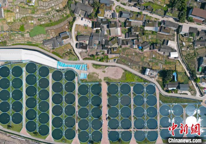 Galeria: base de cria??o de esturj?o em Sichuan produz anualmente 50 toneladas de caviar