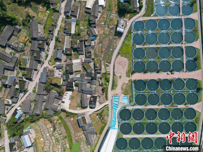 Galeria: base de cria??o de esturj?o em Sichuan produz anualmente 50 toneladas de caviar