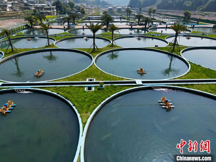 Galeria: base de cria??o de esturj?o em Sichuan produz anualmente 50 toneladas de caviar