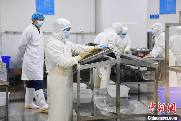 Galeria: base de cria??o de esturj?o em Sichuan produz anualmente 50 toneladas de caviar