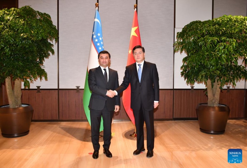 Chanceler chinês conversa com diplomatas seniores de países da ásia Central