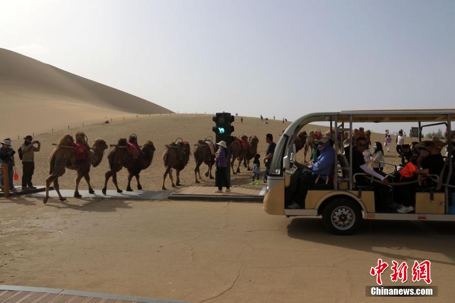 Engarrafamentos nas passagens de camelos s?o registrados no noroeste da China
